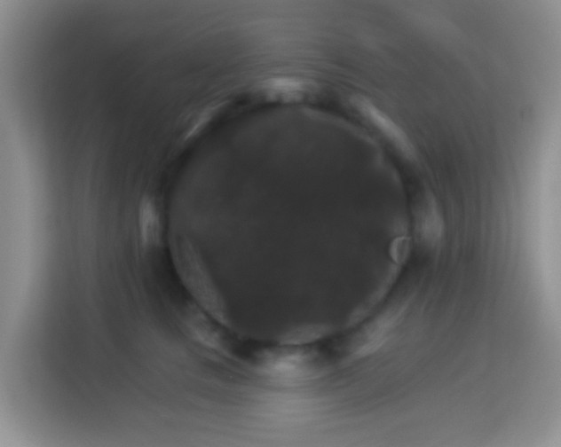 X0000114080661200910051400