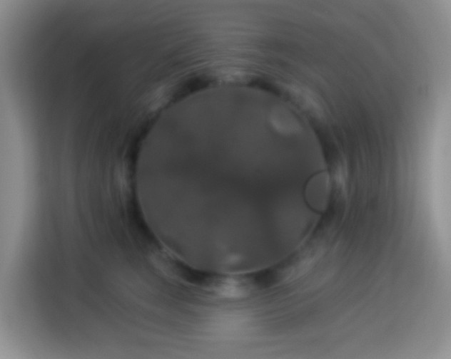 X0000114080663200910051400