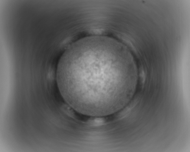 X0000114080665200910051400