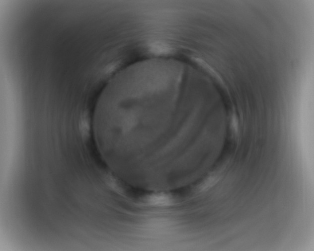 X0000114080668200910051400