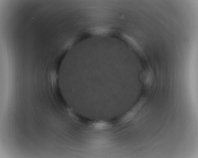 X0000114080669200910051400