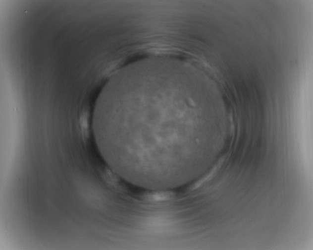 X0000114080670200910051400