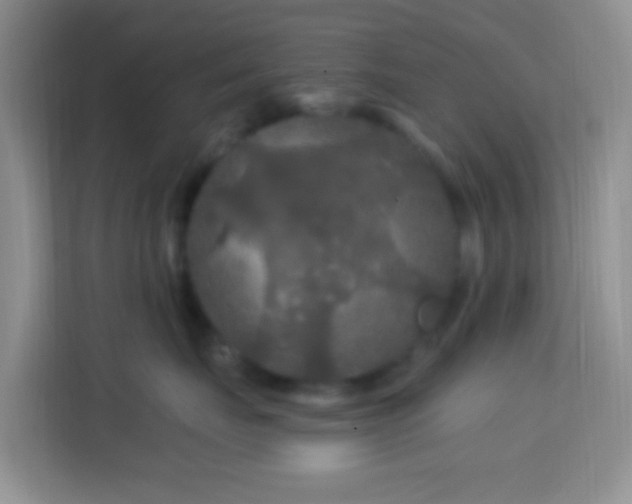 X0000114080671200910051400