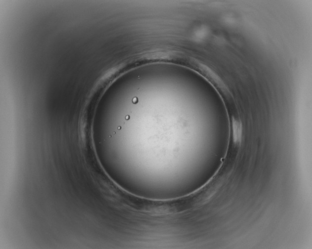 X0000114080675200910051359