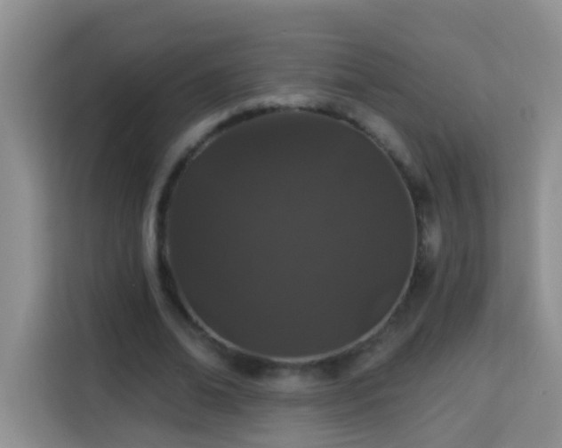 X0000114080678200910051359