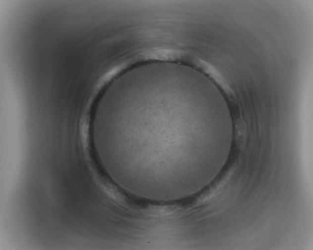 X0000114080679200910051359