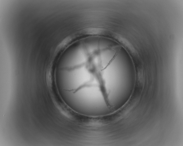 X0000114080682200910051359