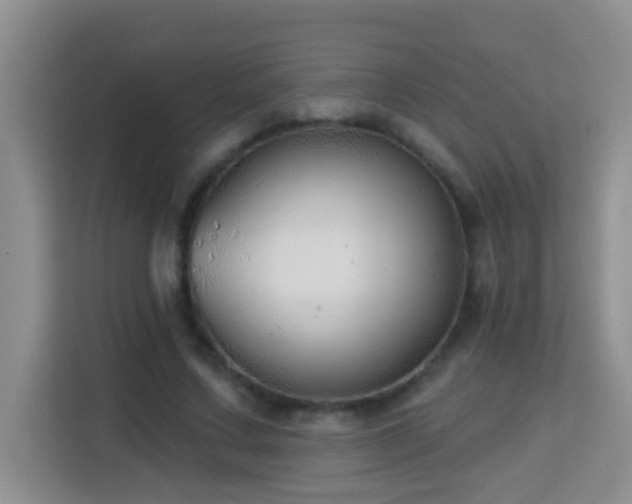 X0000114080683200910051359