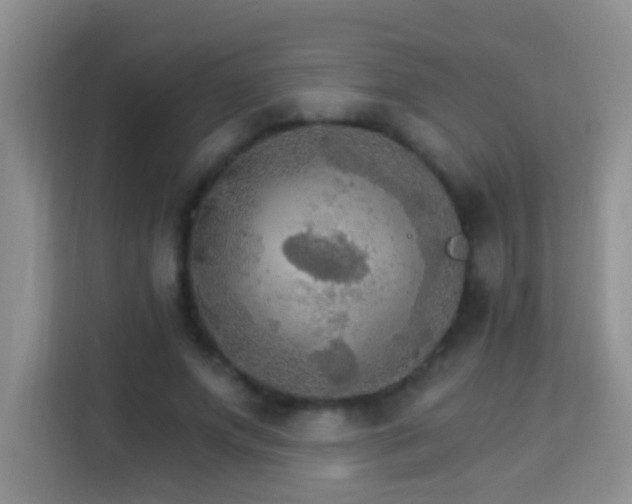 X0000114080687200910051359