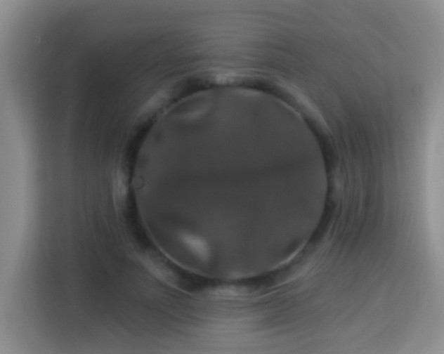 X0000114080691200910051359