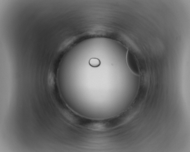 X0000114080692200910051359