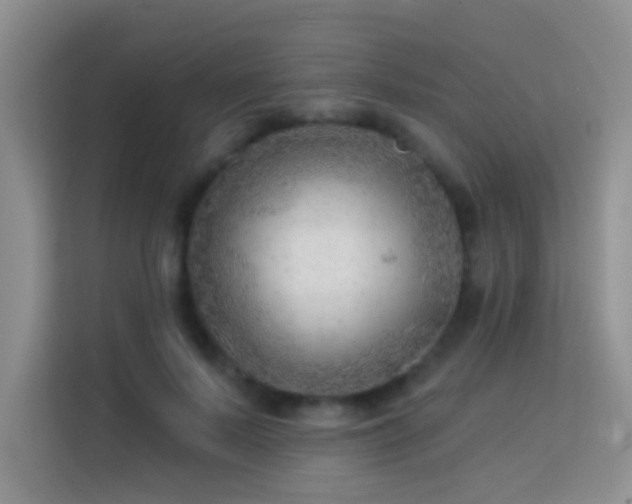 X0000114080695200910051359