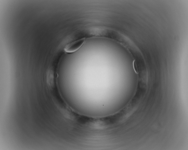 X0000114080696200910051359