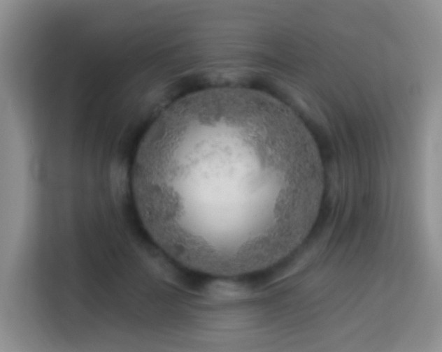 X0000114080699200910051359