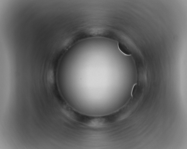 X0000114080700200910051359