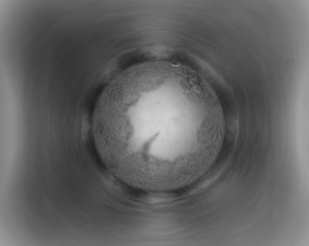 X0000114080707200910051358