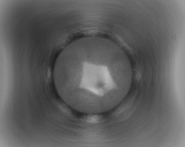 X0000114080711200910051358