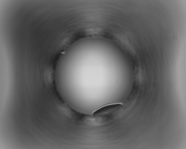 X0000114080712200910051358