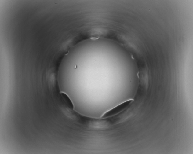 X0000114080716200910051358