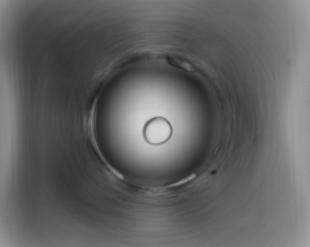 X0000114080720200910051358