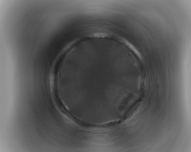 X0000114080722200910051358