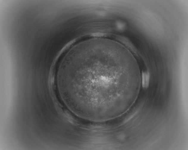 X0000114080723200910051358