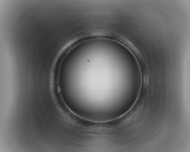 X0000114080724200910051358