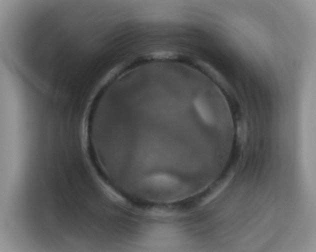 X0000114080725200910051358