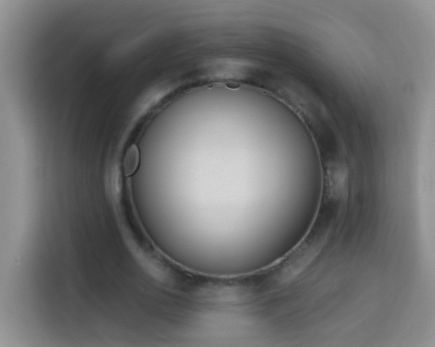 X0000114080726200910051358