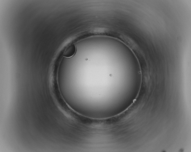 X0000114080728200910051358