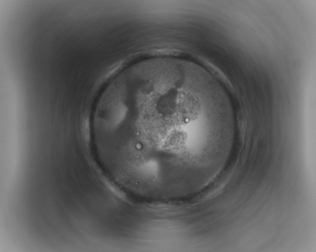 X0000114080729200910051358