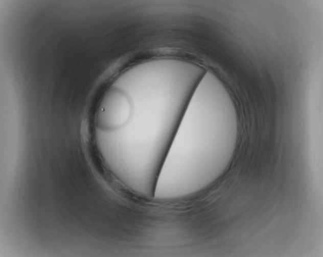 X0000114080734200910051358