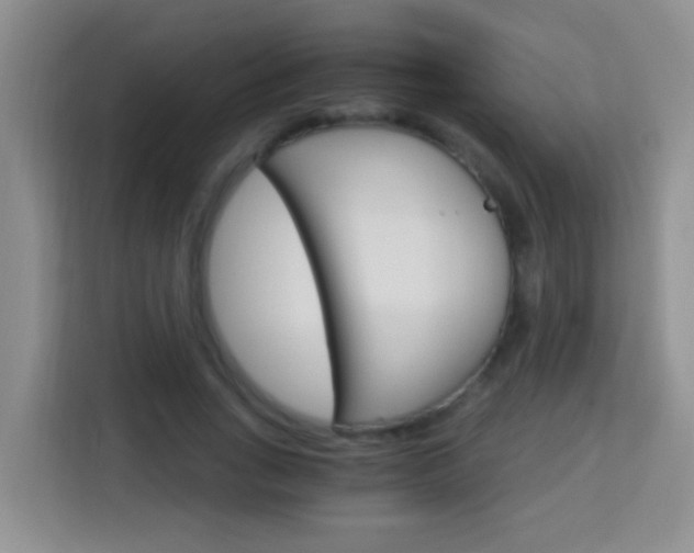 X0000114080735200910051358