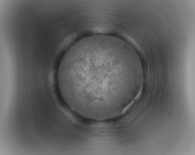 X0000114080738200910051358