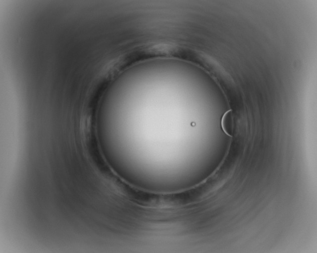 X0000114080739200910051358