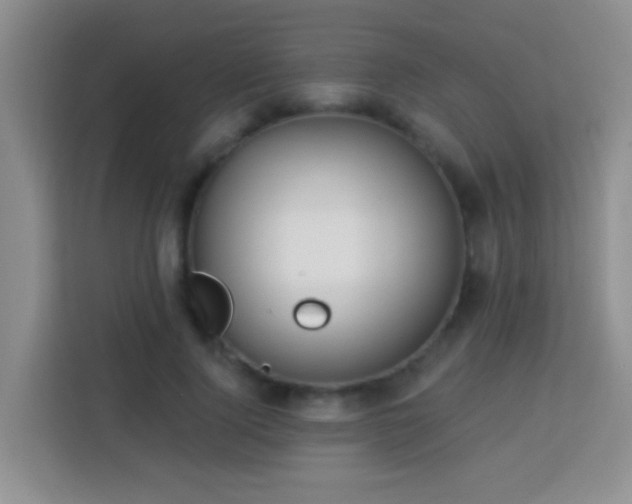 X0000114080740200910051358