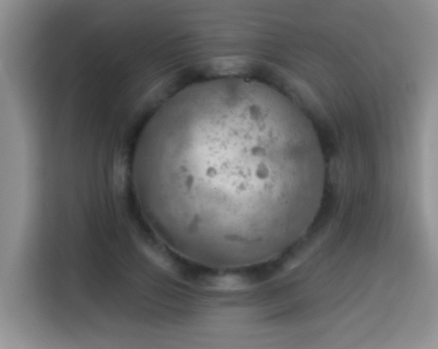 X0000114080741200910051358