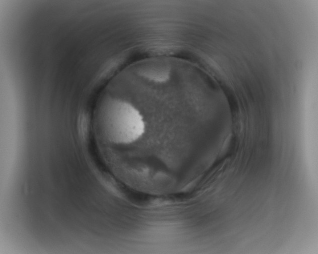 X0000114080742200910051358