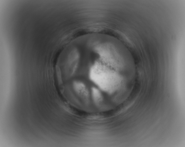 X0000114080745200910051358