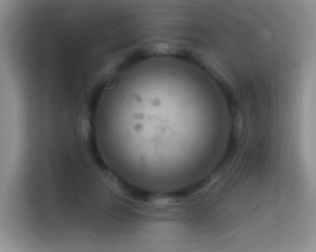 X0000114080746200910051358