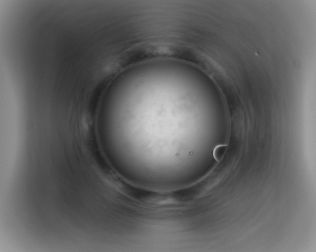 X0000114080747200910051358