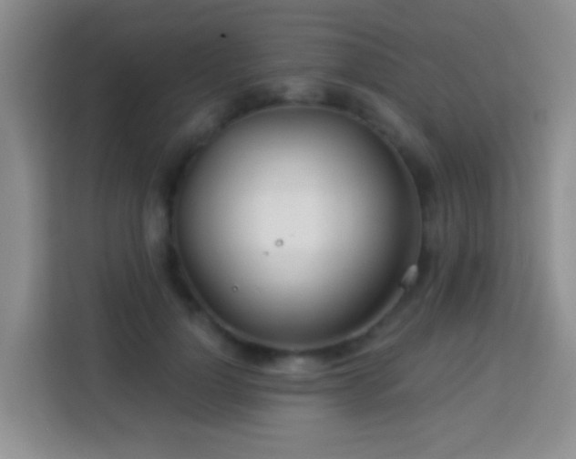 X0000114080748200910051358