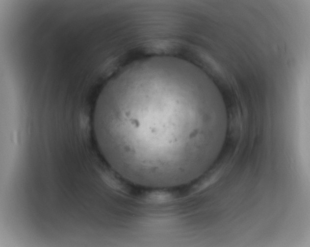 X0000114080749200910051358