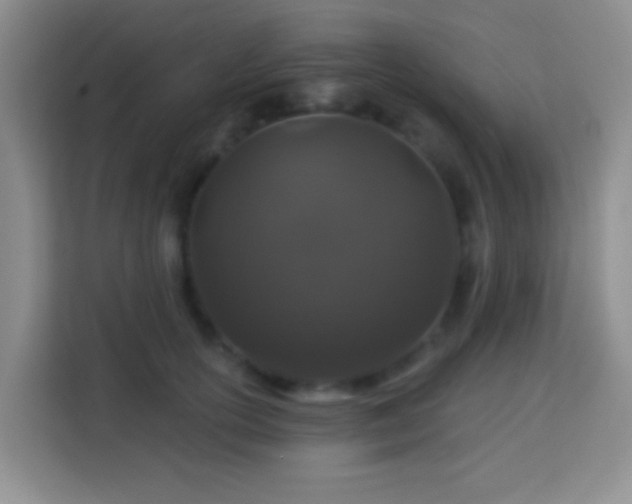 X0000114080754200910051358