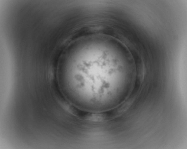 X0000114080758200910051358