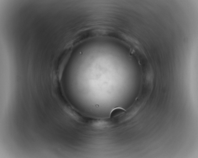 X0000114080759200910051358