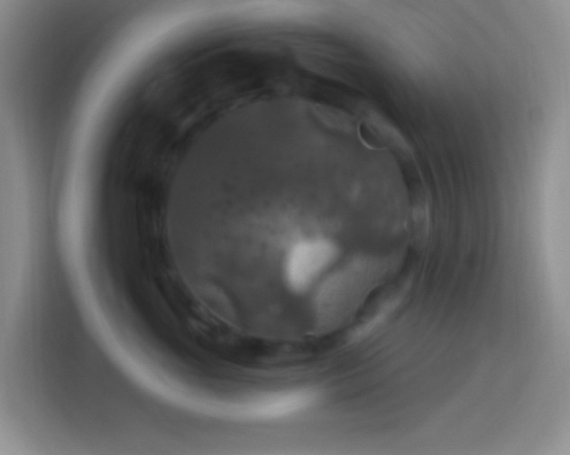 X0000114080765200910051358