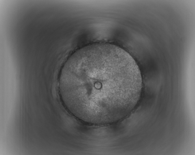 X0000114080769200910051358