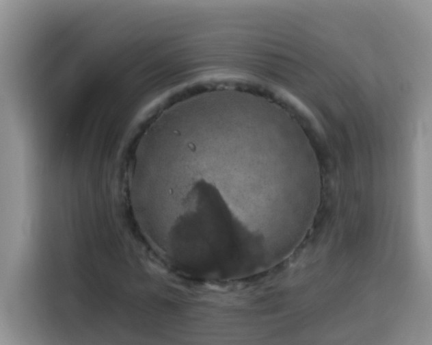 X0000114080775200910051358