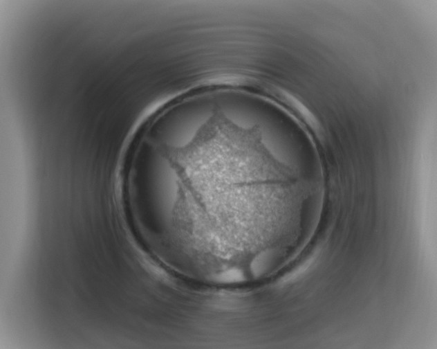 X0000114080779200910051358